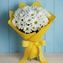 Букет цветов из:  Хризантемы в Цементном