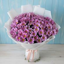 Букет цветов из:  Хризантемы в Цементном