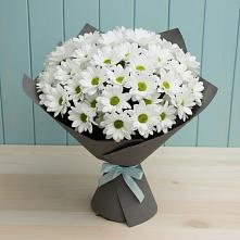 Букет цветов из:  Хризантемы в Цементном