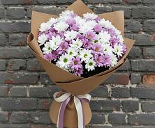 Букет цветов из:  Хризантемы #REPLACE_PRED# Цементном