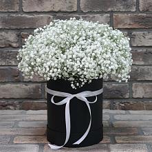 Цветочная композиция из Гипсофила в шляпной коробке #REPLACE_PRED# Цементном