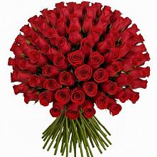 Букет Красные розы Чери Лав #REPLACE_PRED# Цементном