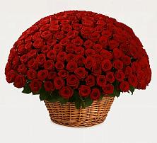 Премиум букет из: Розы в Цементном