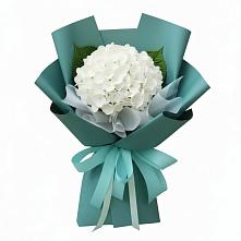 Букет цветов из:  Гортензия в Цементном